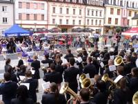 MFDH 2011
