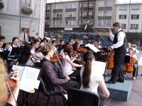 MFDH 2011